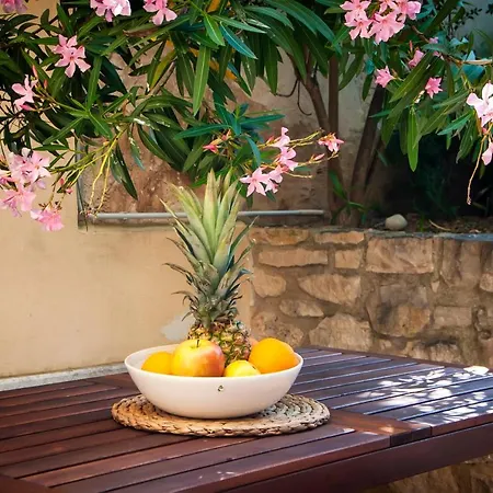 Happy House Bregovita By Irundo Appartement